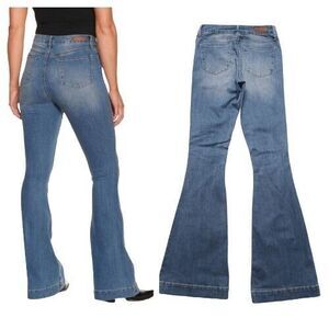 Articles of Society Bridgette High-Rise Flare Jeans Women's Size 24